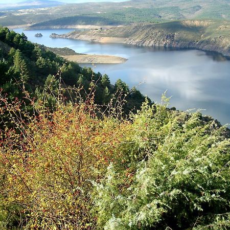 El Egio Konuk evi Cervera de Buitrago Dış mekan fotoğraf