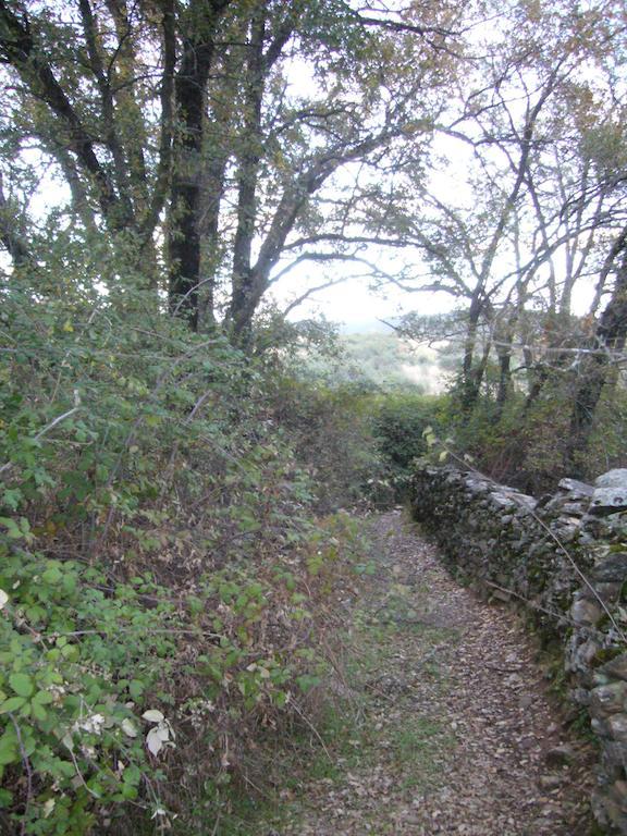 El Egio Konuk evi Cervera de Buitrago Dış mekan fotoğraf