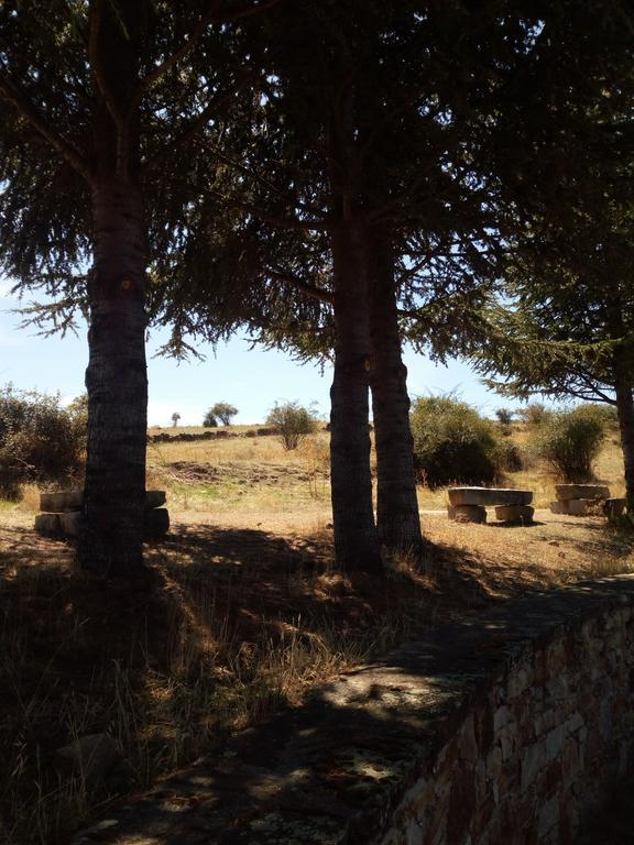 El Egio Konuk evi Cervera de Buitrago Dış mekan fotoğraf
